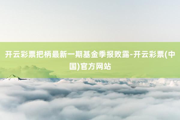 开云彩票把柄最新一期基金季报败露-开云彩票(中国)官方网站