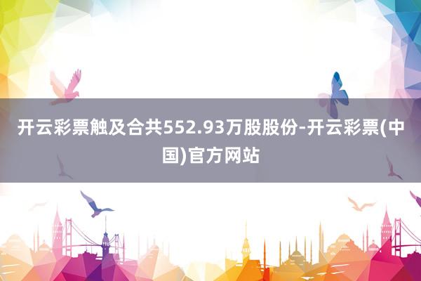 开云彩票触及合共552.93万股股份-开云彩票(中国)官方网站